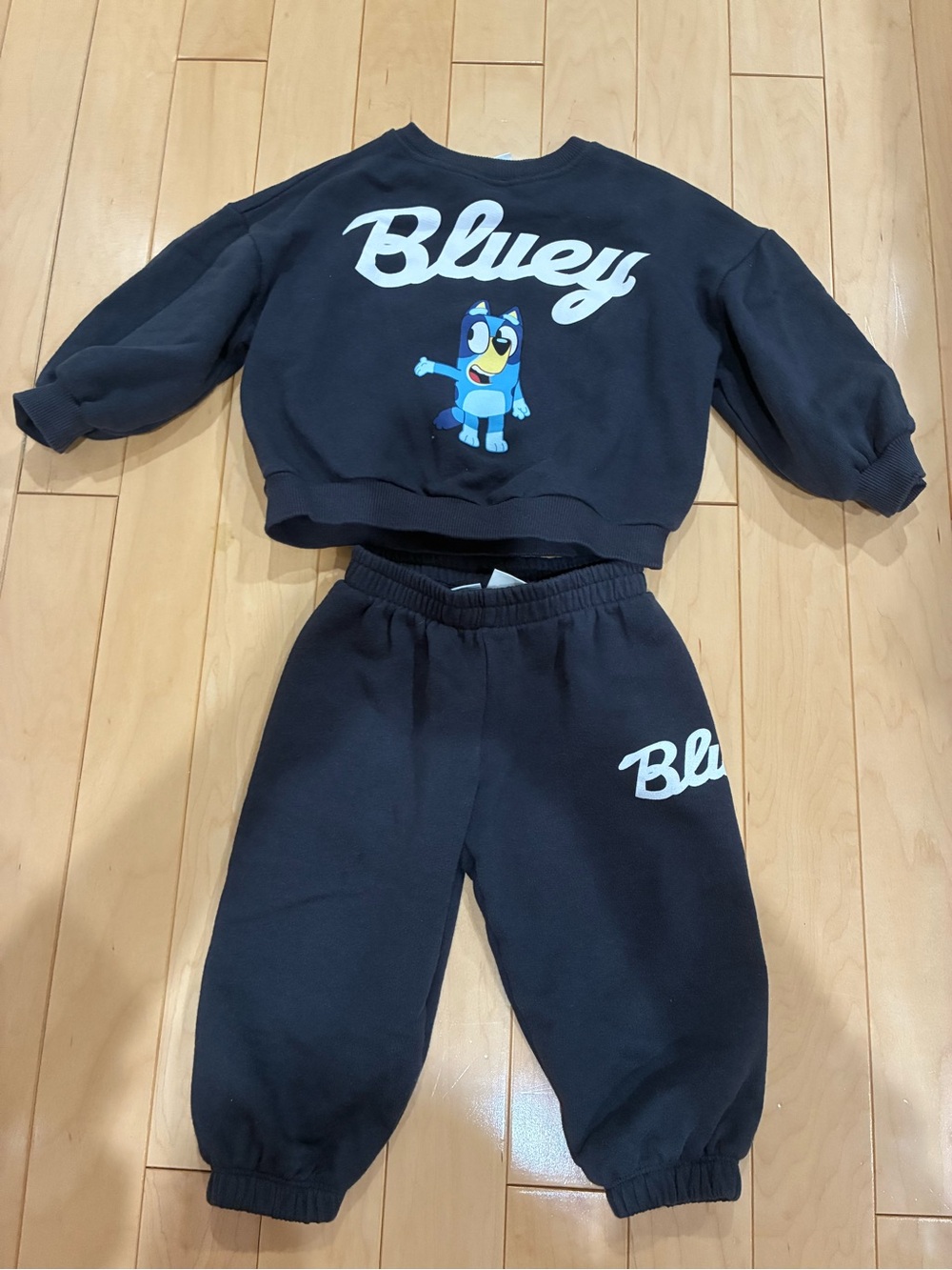 Zara Bluey Kids Black Sweatshirt & Jogger Set - Blue Accent